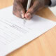 Professionnel vérifiant les clauses d’un contrat de secrétariat