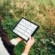 Expert agricole inspectant des cultures avec une tablette